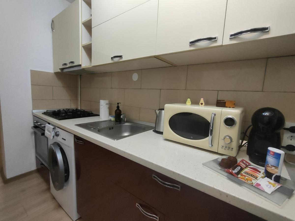 Vania Studio Apartment Sibiu Bagian luar foto